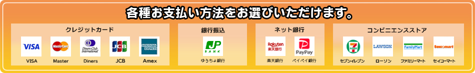 フォルクスワーゲン タイヤ ホイール セット   フォルクスワーゲン